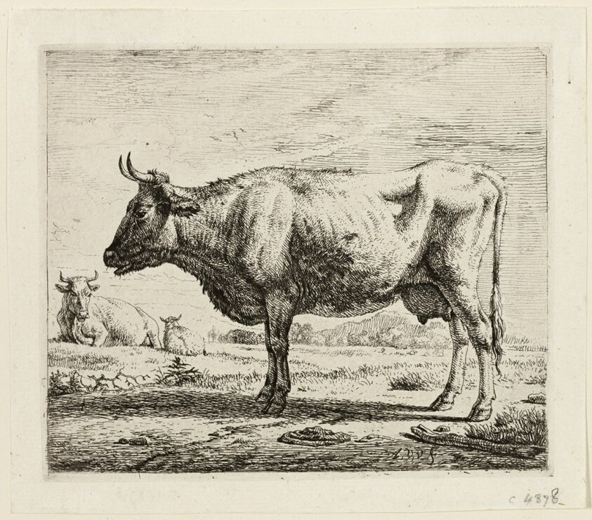 Two Cows and a Sheep by Adriaen van de Velde, 23x16"( A2 size) Poster Print