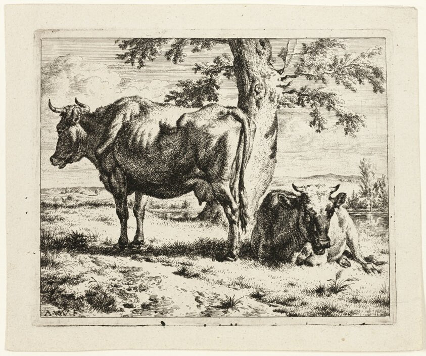 Two Cows under a Tree by Adriaen van de Velde, 23x16"( A2 size) Poster Print
