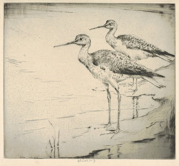 Two Yellow-legs 1930-Henry Emerson Tuttle , vintage art, A3 (16x12") Poster Print