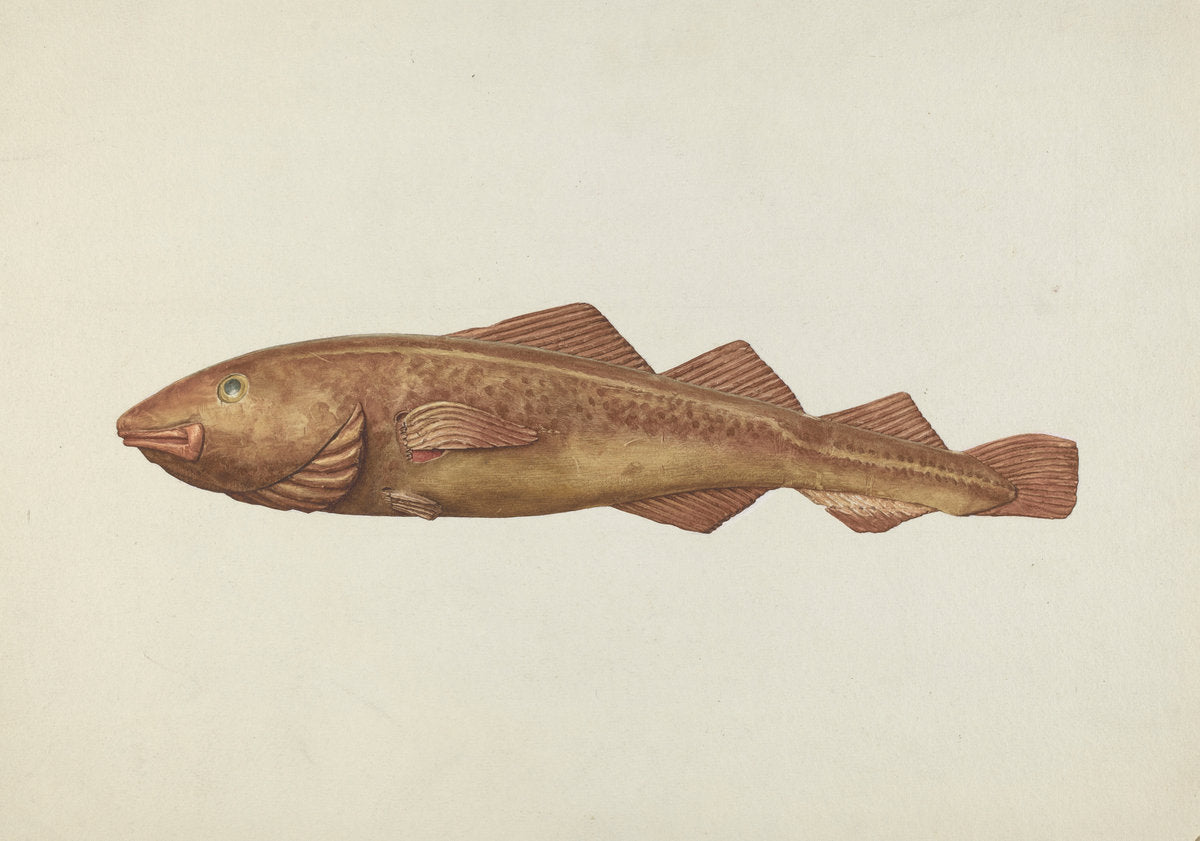 Fish Woodcarving by Ingrid Selmer-Larsen (American, 1913 - 2005), 16X12"(A3)Poster Print