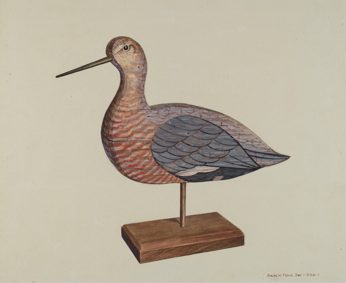 Decoy (Hudsonian Godwit) by Samuel W. Ford (American, active c. 1935), 16X12"(A3)Poster Print