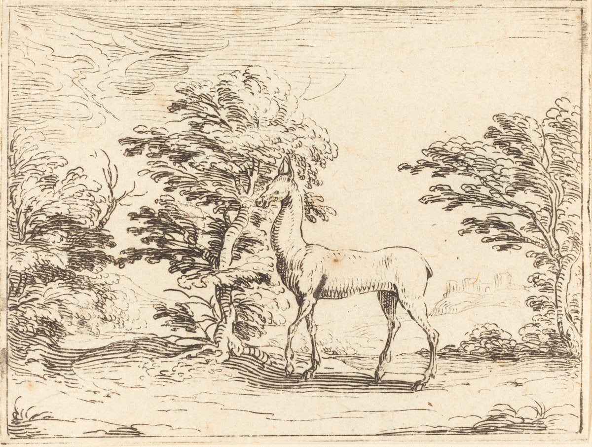 The Doe by Jacques Callot (French, 1592 - 1635), 16X12"(A3)Poster Print
