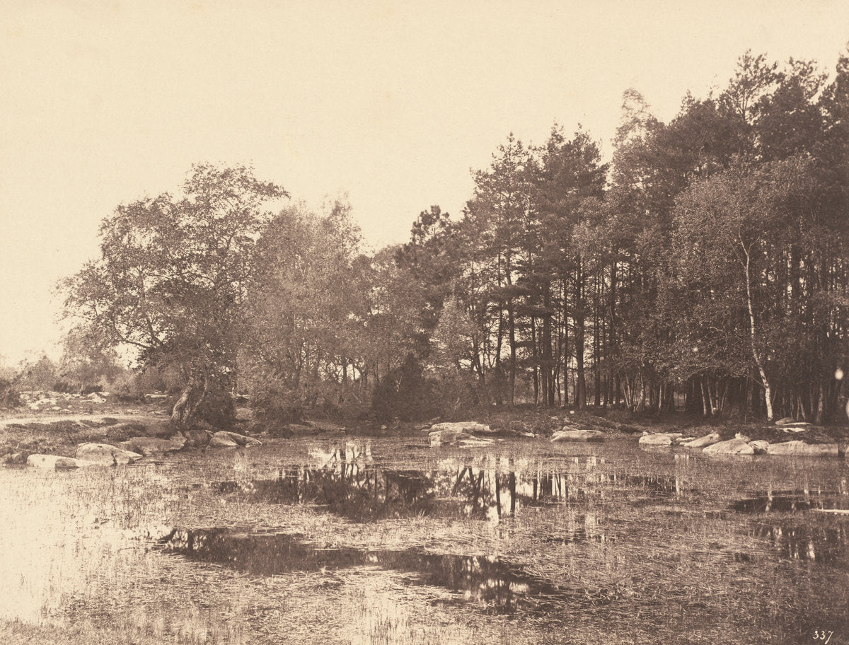 Marsh at Piat (Belle-Croix Plateau) by Eugène Cuvelier (French, 1837 - 1900), 16X12"(A3)Poster Print