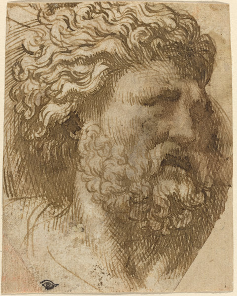 Head of a Man by Domenico Campagnola (Venetian, before 1500 - 1564), 16X12"(A3)Poster Print
