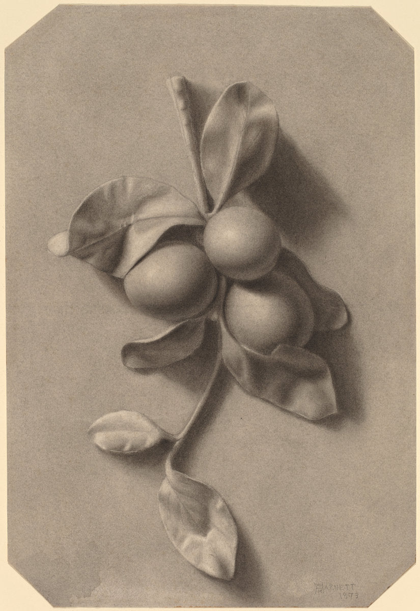 A Sprig of Plums by William Michael Harnett (American, 1848 - 1892), 16X12"(A3)Poster Print