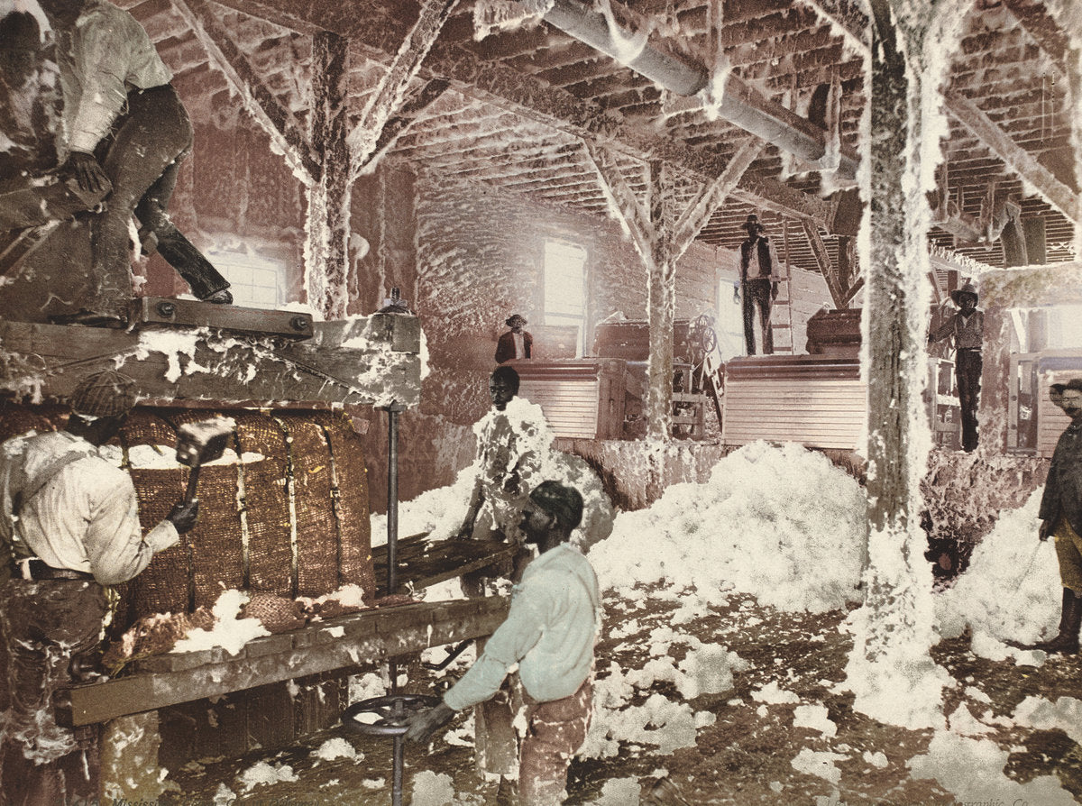 1899 by American 19th Century (Detroit Photographic Co.) (Mississippi Cotton Gin at Dahomey), 16X12"(A3)Poster Print