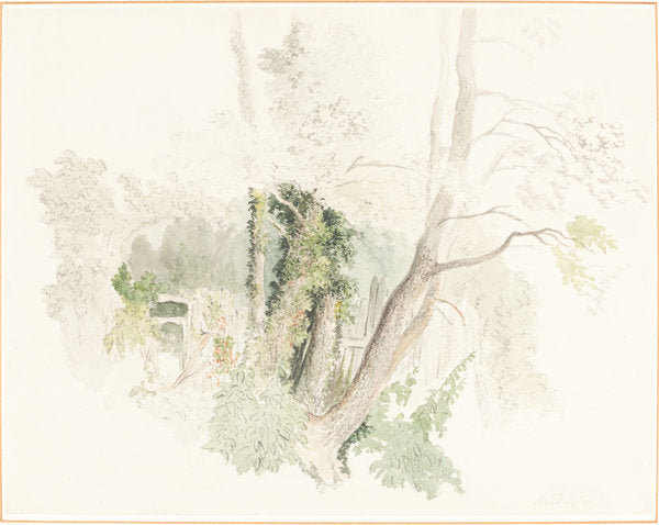 Trees at Beddington by Robert Hills (British, 1769 - 1844), 16X12"(A3)Poster Print