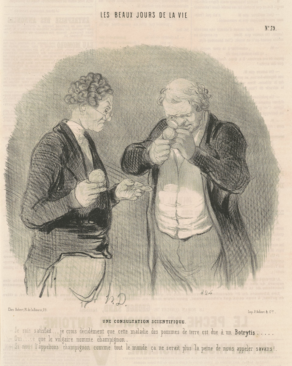 Une consultation scientifique by Honoré Daumier (French, 1808 - 1879), 16X12"(A3)Poster Print
