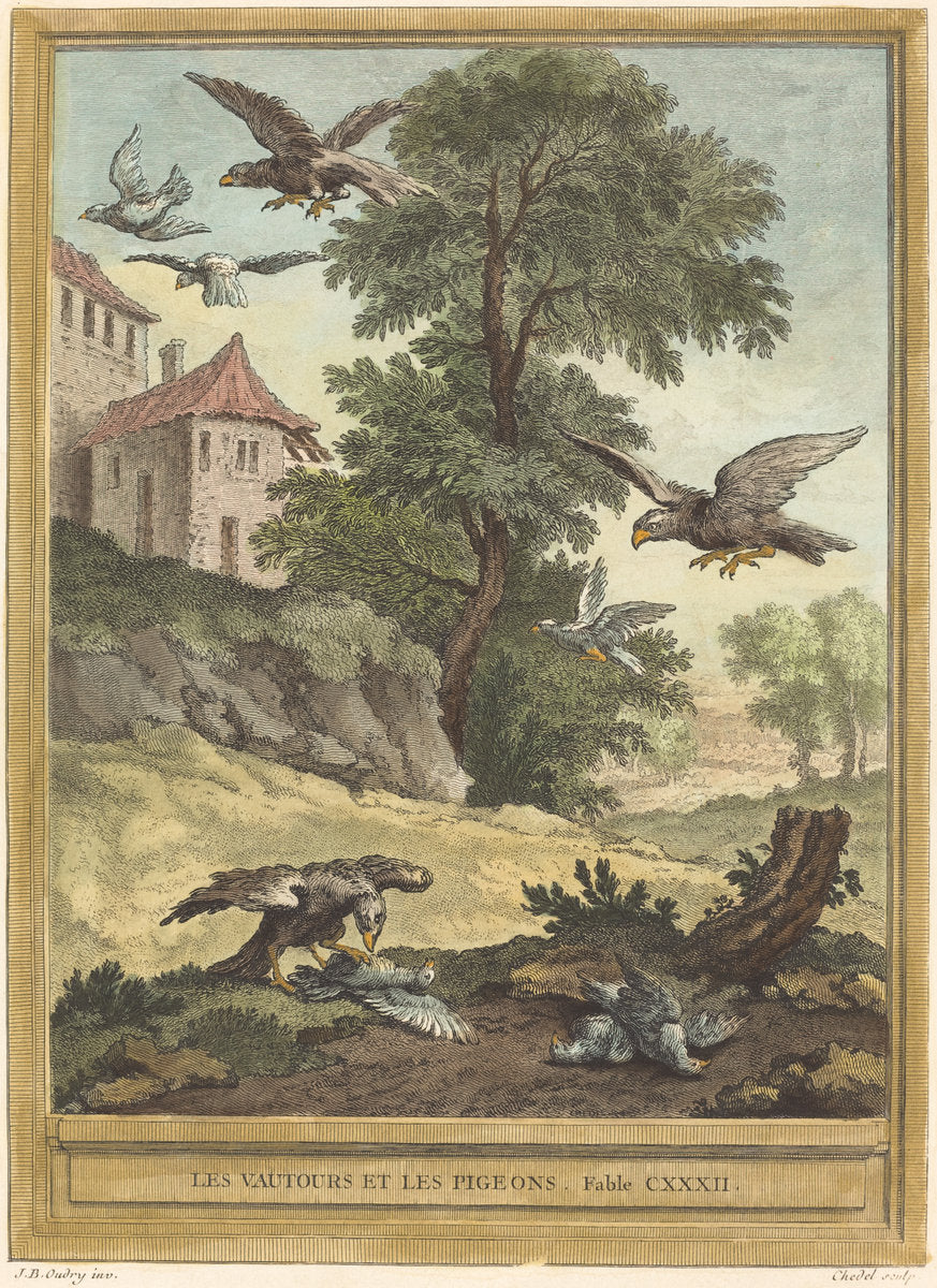 Les vautours et les pigeons (Vultures and Pigeons) by Quentin-Pierre Chedel after Jean-Baptiste Oudry (French, 1705 - 1763), 16X12"(A3)Poster Print