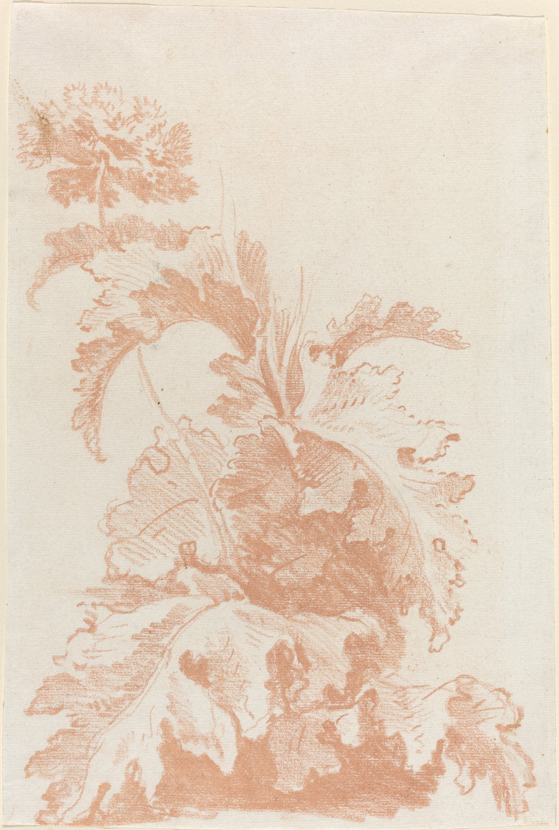Poppy in Bloom by Jean-Baptiste Hüet, I (French, 1745 - 1811), 16X12"(A3)Poster Print