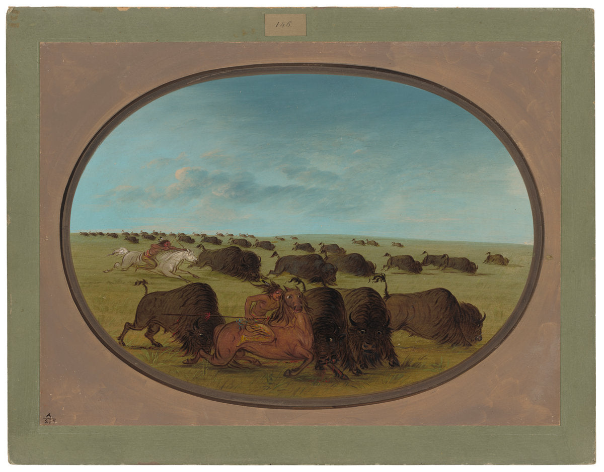 Buffalo Chase, with Accidents by George Catlin (American, 1796 - 1872), 16X12"(A3)Poster Print