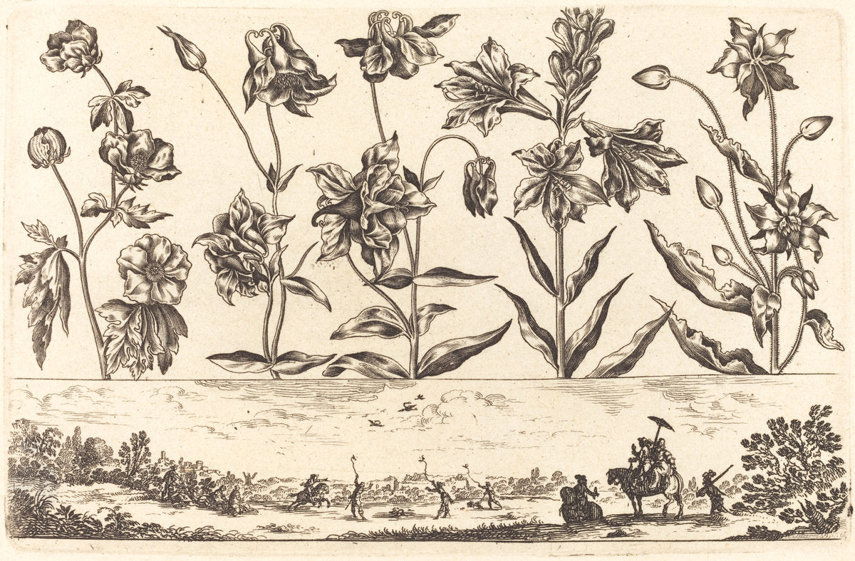 Flower Print no.6 by Nicolas Cochin after Balthasar Moncornet (French, 1610 - 1686), 16X12"(A3)Poster Print