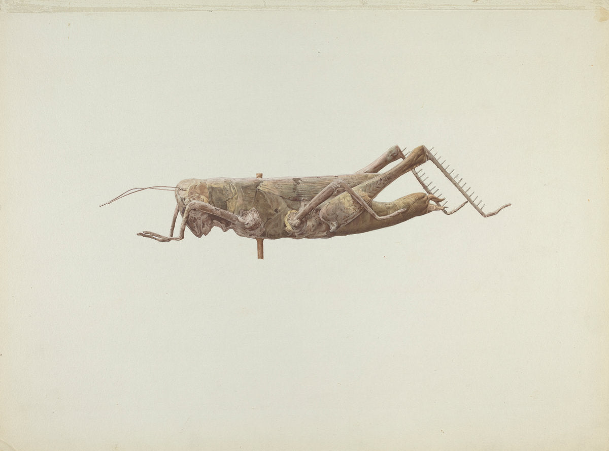 Grasshopper Weather Vane by Joseph Goldberg (American, active c. 1935), 16X12"(A3)Poster Print