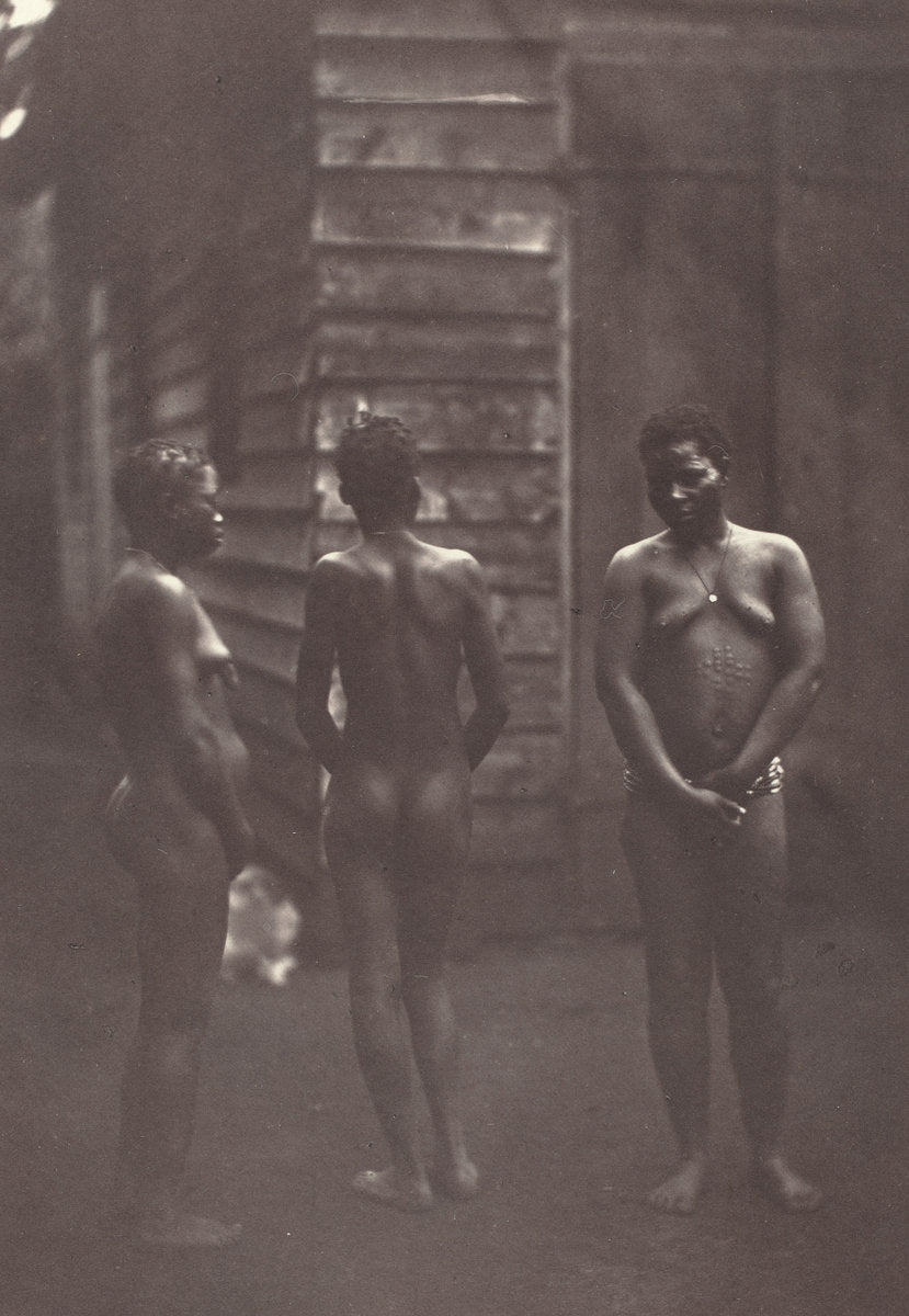 Trois Femmes Malgaches (Plate 30) by Désiré Charnay (French, 1828 - 1915), 16X12"(A3)Poster Print