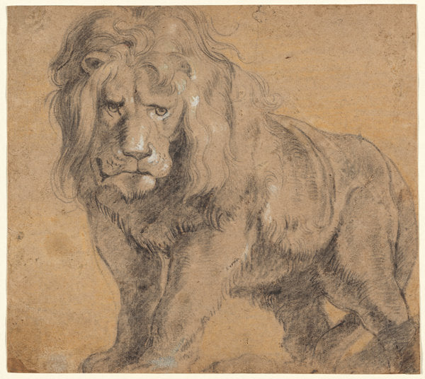 Lion by Sir Peter Paul Rubens (Flemish, 1577 - 1640), 16X12"(A3)Poster Print