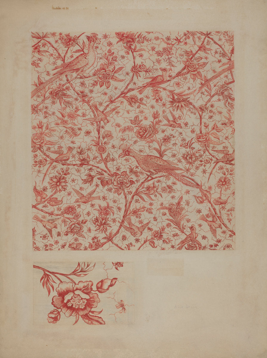 Bed Curtain by Alice Braun (American, active c. 1935), 16X12"(A3)Poster Print