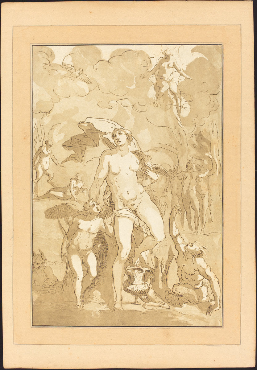 Venus by Johann Gottlieb Prestel after Jacopo Ligozzi (German, 1739 - 1808), 16X12"(A3)Poster Print