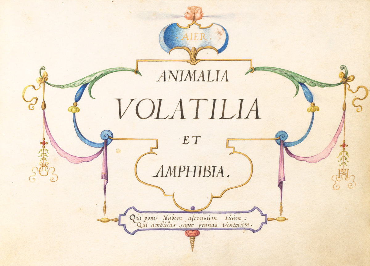 Animalia Volatilia et Amphibia (Aier): Title Page by Joris Hoefnagel (Flemish, 1542 - 1600), 16X12"(A3)Poster Print