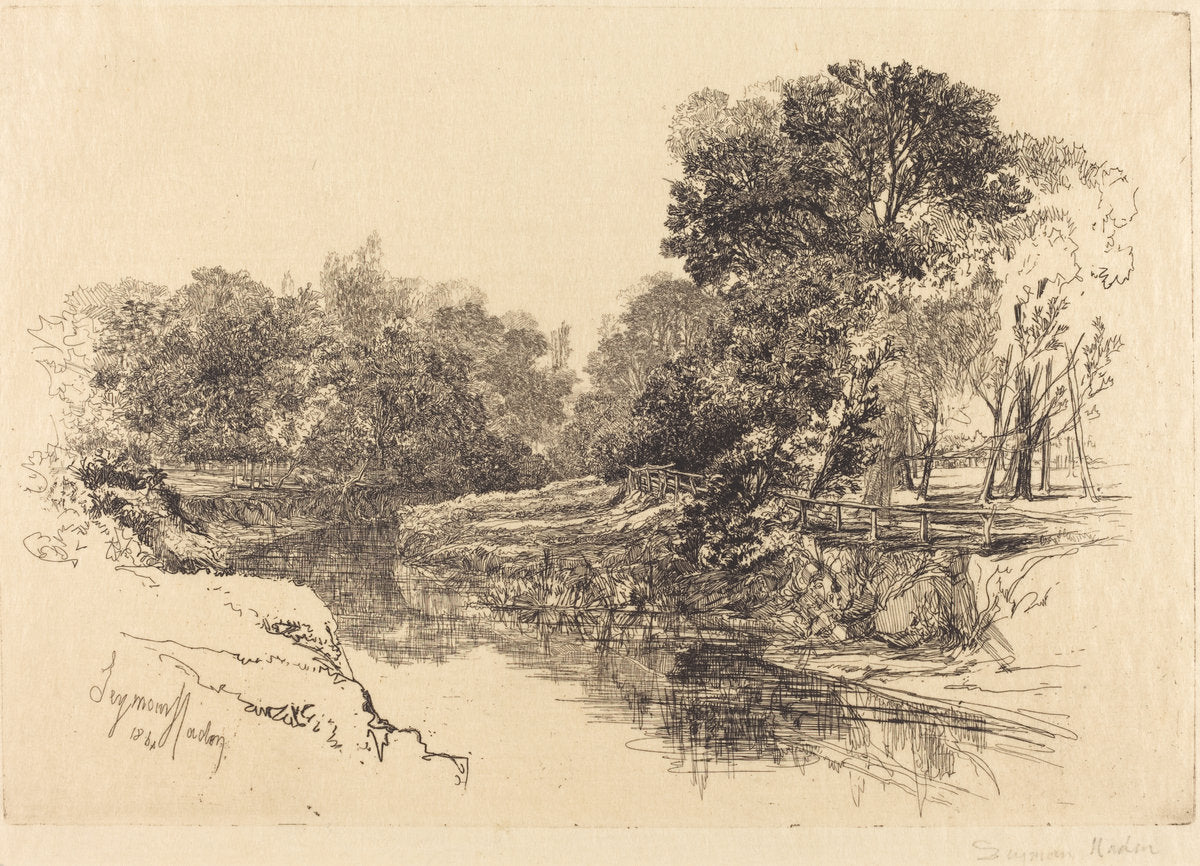 A River in Ireland by Francis Seymour Haden (British, 1818 - 1910), 16X12"(A3)Poster Print