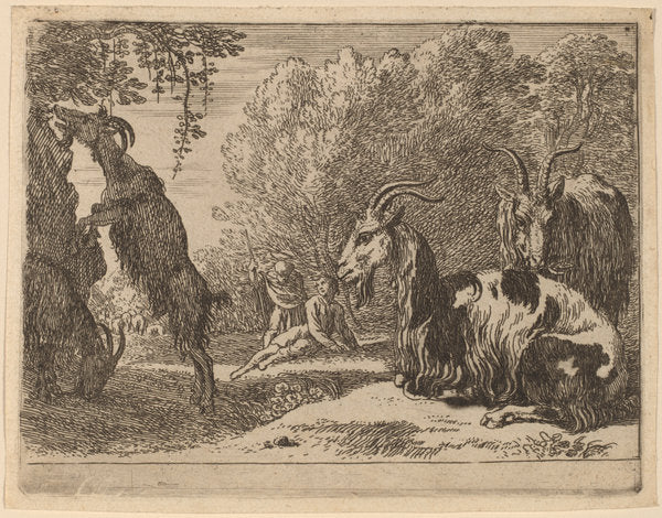 Goats by Herman van Swanevelt (Dutch, c. 1600 - 1655), 16X12"(A3)Poster Print