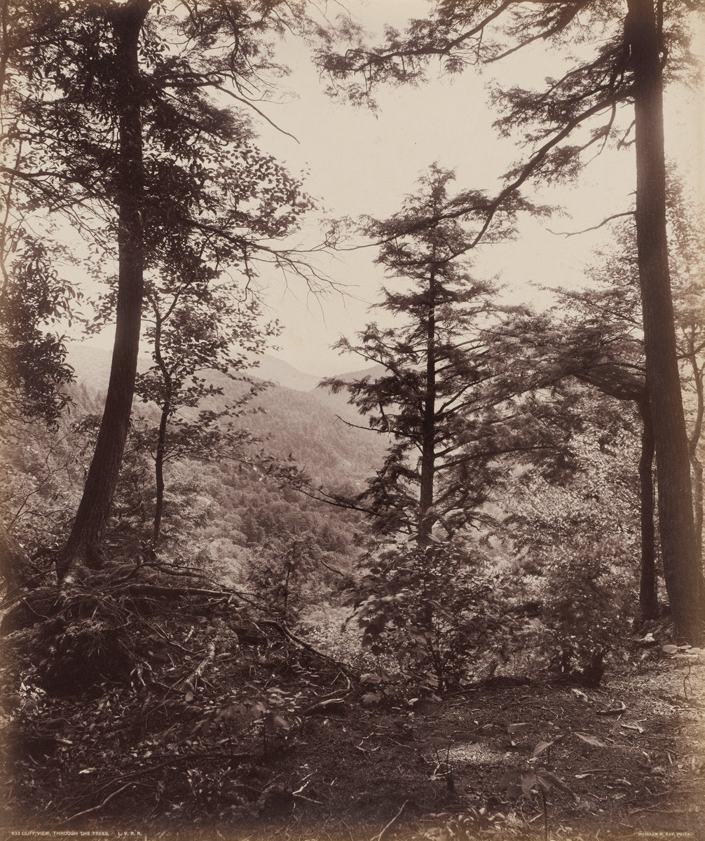 Cliff View, Through the Trees by William H. Rau (American, 1855 - 1920), 16X12"(A3)Poster Print