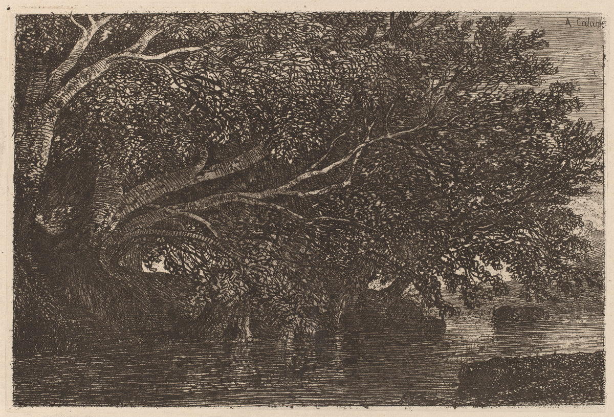 Trees Overhanging a Pond by Alexandre Calame (Swiss, 1810 - 1864), 16X12"(A3)Poster Print