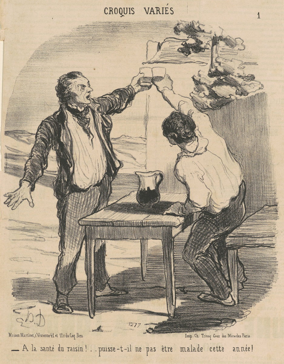 A la santé du raisin! ... by Honoré Daumier (French, 1808 - 1879), 16X12"(A3)Poster Print
