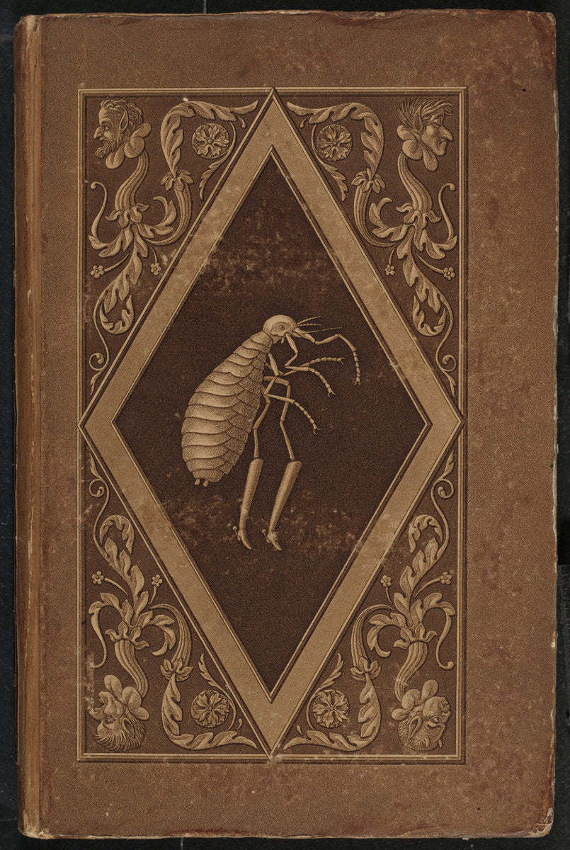 Meister Floh. Ein Marchen in sieben Abentheuern zweier Freunde (Master Flea: A Fairy-Tale in Seven Adventures of Two Friends by Karl Friedrich Thiele, Ernst Theodor Amadeus Hoffmann (author) (German, 1780 - 1836), 16X12"(A3)Poster Print