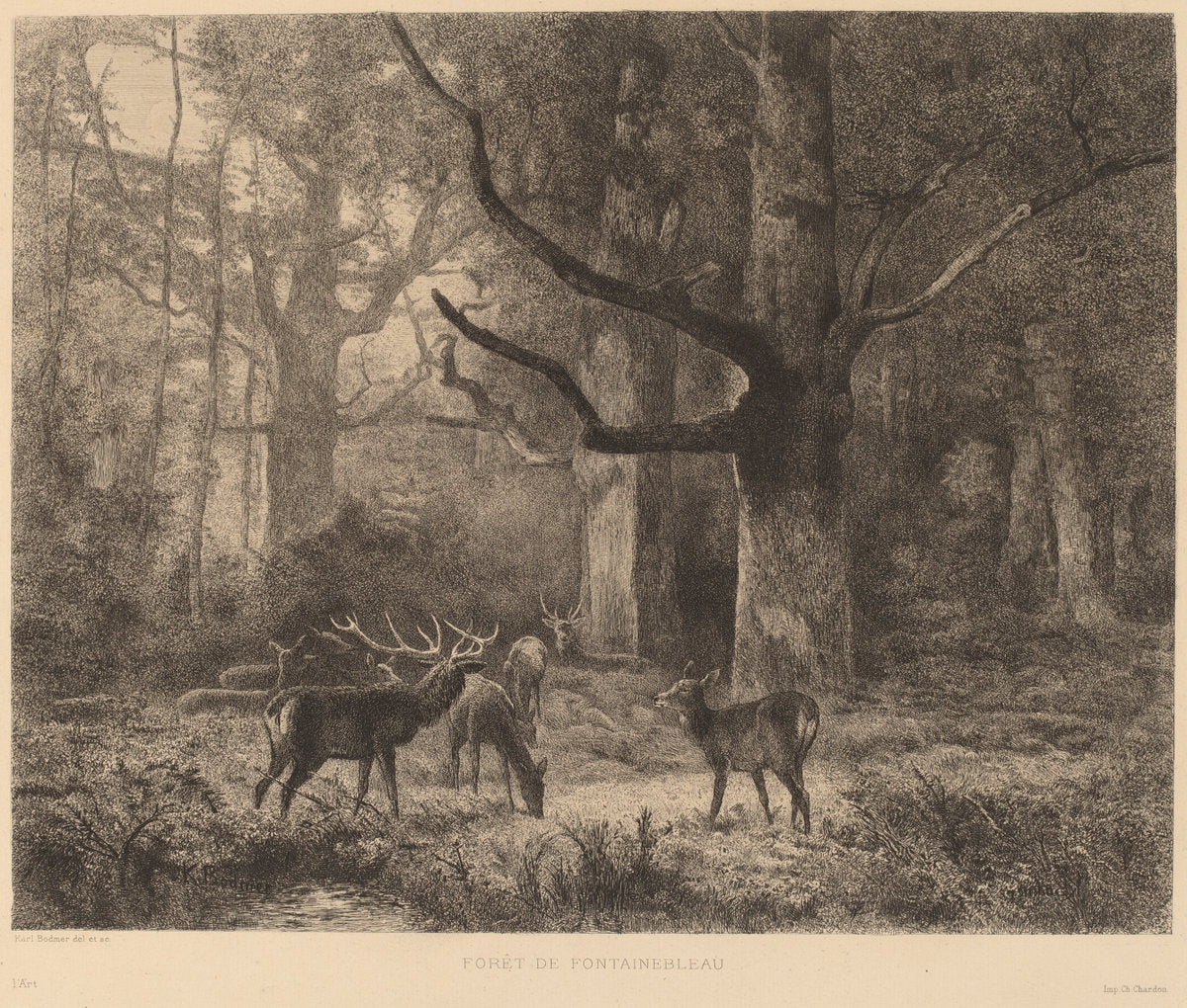 Forêt de Fontainebleau by Karl Bodmer (Swiss, 1809 - 1893), 16X12"(A3)Poster Print