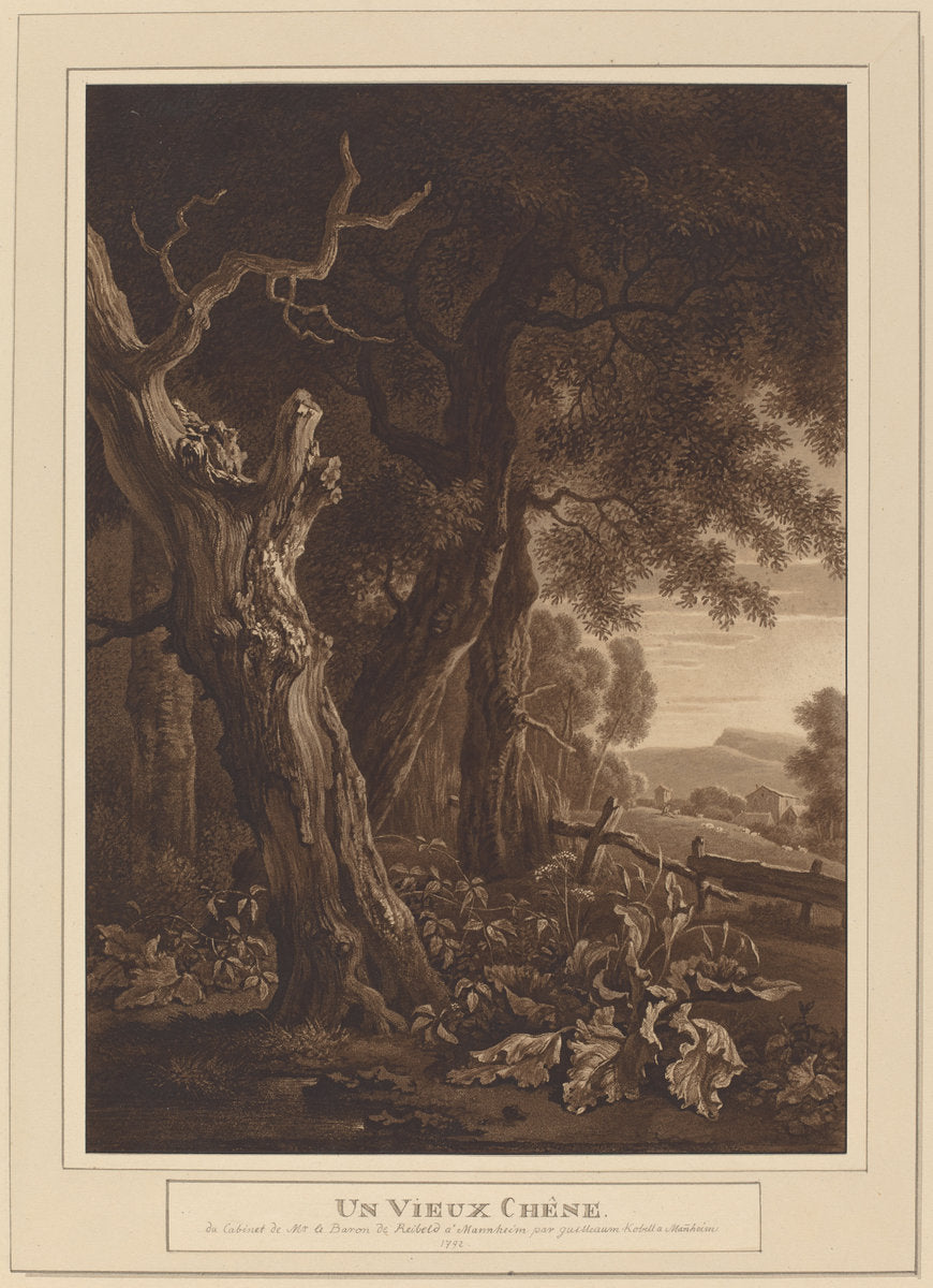 Ancient Oaks in a Landscape by Wilhelm von Kobell, after Jan Wijnants (German, 1766 - 1853), 16X12"(A3)Poster Print