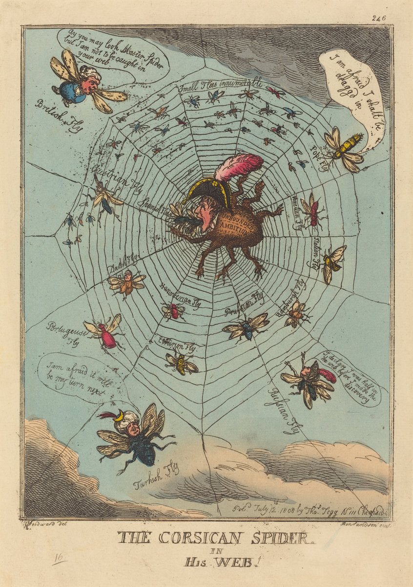 The Corsican Spider in his Web by Thomas Rowlandson (British, 1756 - 1827), 16X12"(A3)Poster Print
