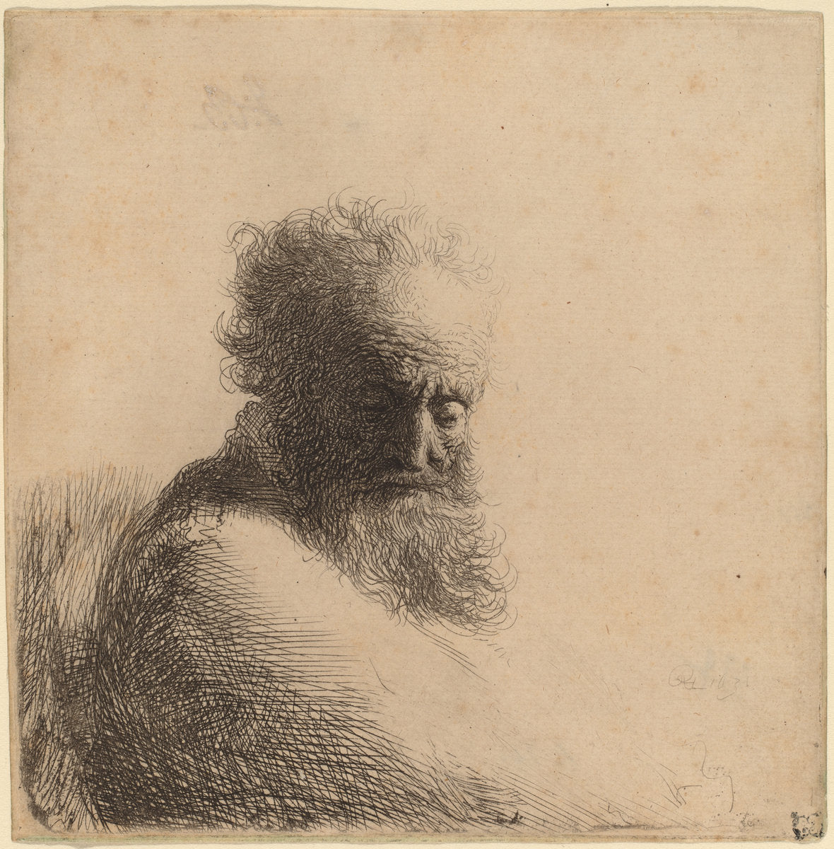 Bust of an Old Bearded Man, Looking Down, Three Quarters Right by Rembrandt van Rijn (Dutch, 1606 - 1669), 16X12"(A3)Poster Print