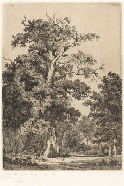 Ancient Oak in the Bois de Boulougne by Eugène Bléry (French, 1805 - 1887), 16X12"(A3)Poster Print