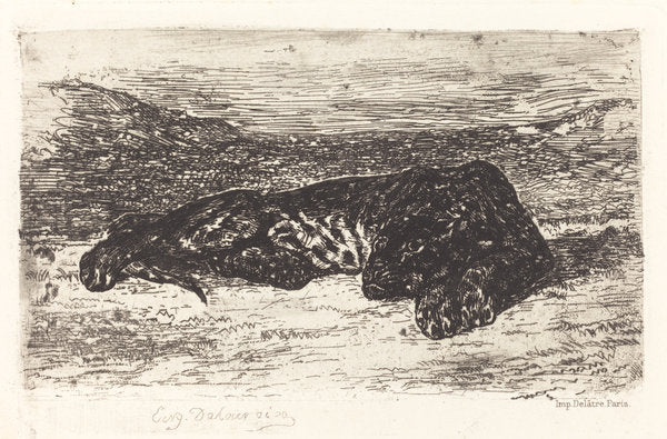 Tiger Sleeping in the Desert by Eugène Delacroix (French, 1798 - 1863), 16X12"(A3)Poster Print