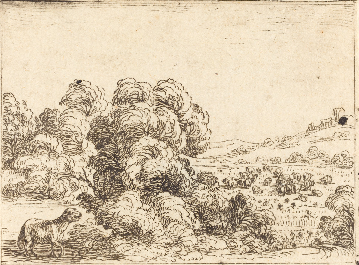 Sheep Calling Lamb by Jacques Callot (French, 1592 - 1635), 16X12"(A3)Poster Print