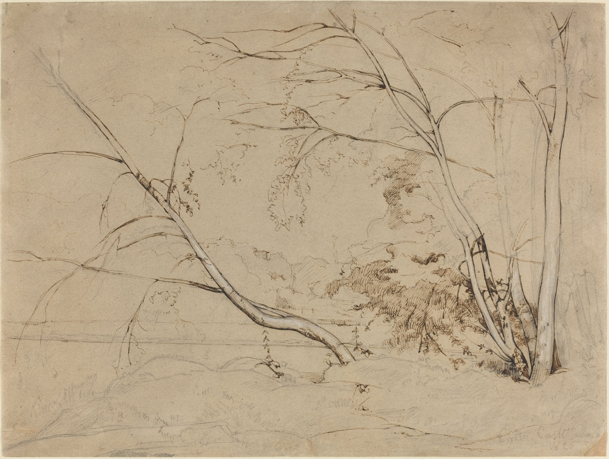 Clump of Trees at Civita Castellana by Jean-Baptiste-Camille Corot (French, 1796 - 1875), 16X12"(A3)Poster Print
