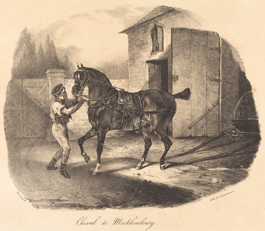 Cheval de Mecklembourg by Théodore Gericault (French, 1791 - 1824), 16X12"(A3)Poster Print