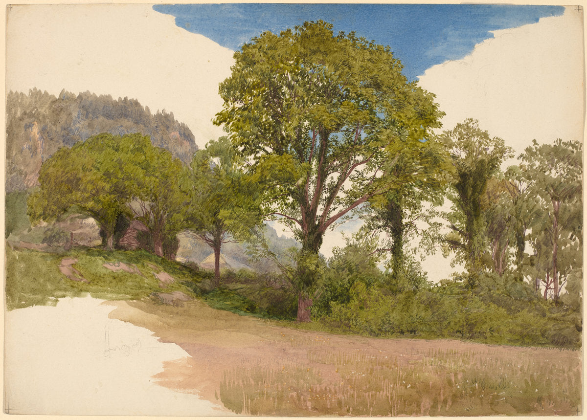 Trees Profiled against the Sky by John Henry Hill (American, 1839 - 1922), 16X12"(A3)Poster Print