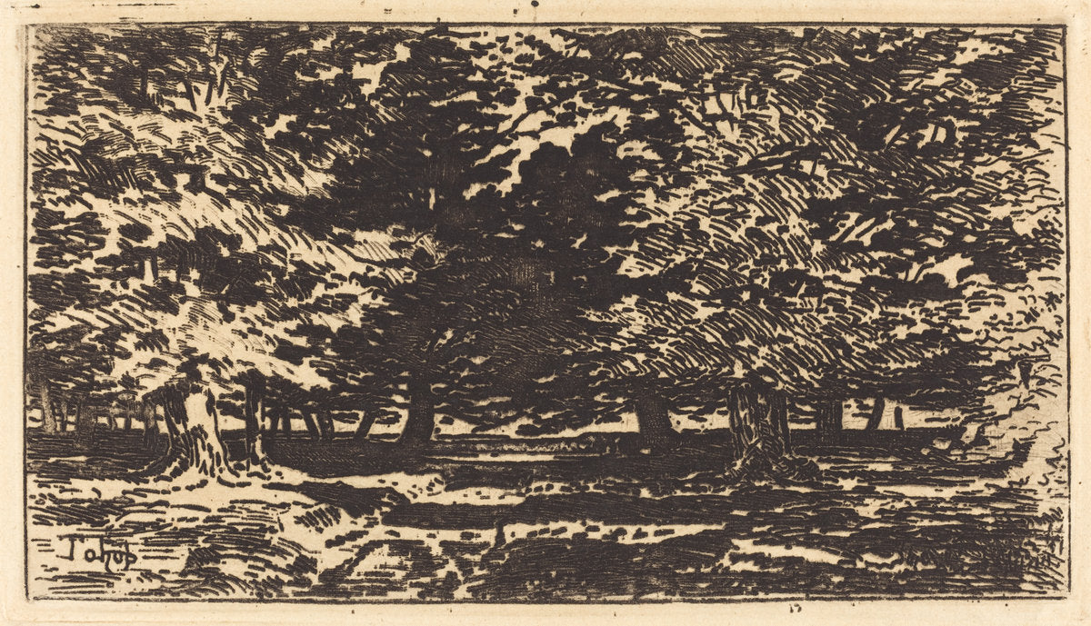 Forêt by Félix-Hilaire Buhot (French, 1847 - 1898), 16X12"(A3)Poster Print