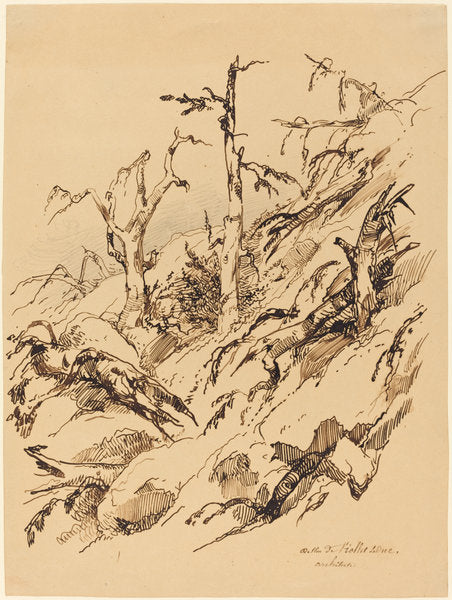 A Rocky Hillside with Dead and Dying Trees by Adolphe Etienne Viollet-Le-Duc II (French, 1817 - 1878), 16X12"(A3)Poster Print