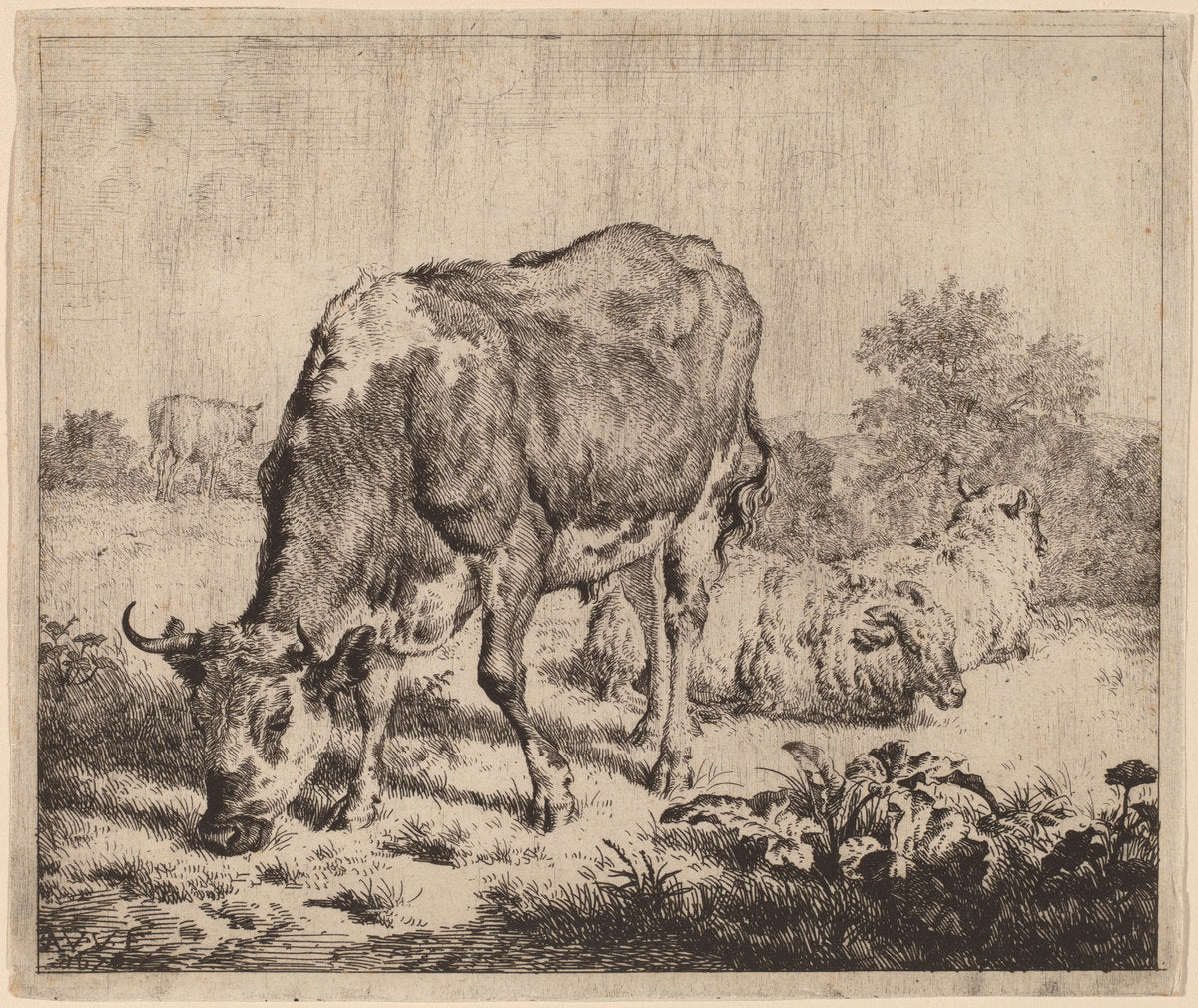 Spotted Bull and Three Sheep by Adriaen van de Velde (Dutch, 1636 - 1672), 16X12"(A3)Poster Print