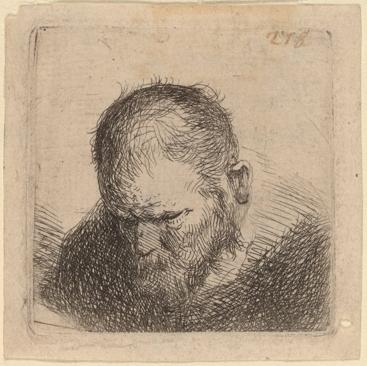possibly 1631 by Studio of Rembrandt van Rijn (Bearded Man Looking Down), 16X12"(A3)Poster Print