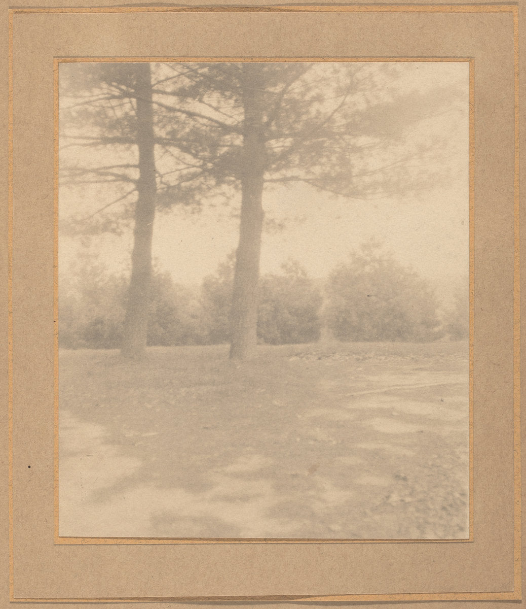 Landscape with trees by Joseph T. Keiley (American, 1869 - 1914), 16X12"(A3)Poster Print