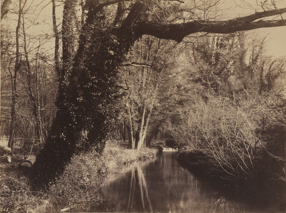 Parc de Courances by Eugène Cuvelier (French, 1837 - 1900), 16X12"(A3)Poster Print