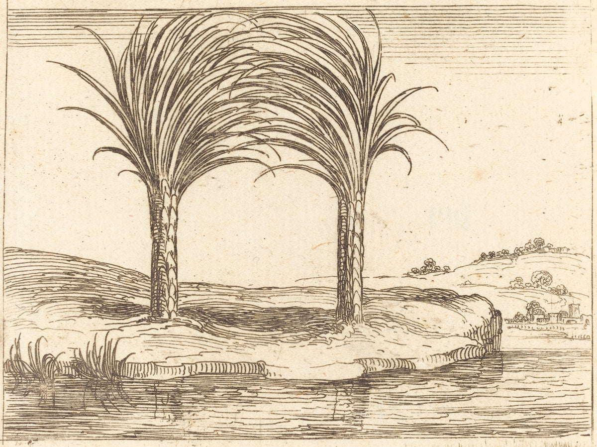 Two Palm Trees by Jacques Callot (French, 1592 - 1635), 16X12"(A3)Poster Print