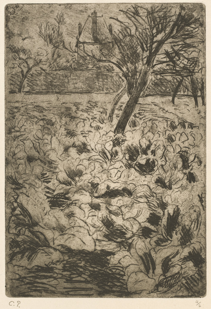 The Cabbage Field (Le champ de choux) by Camille Pissarro (French, 1830 - 1903), 16X12"(A3)Poster Print