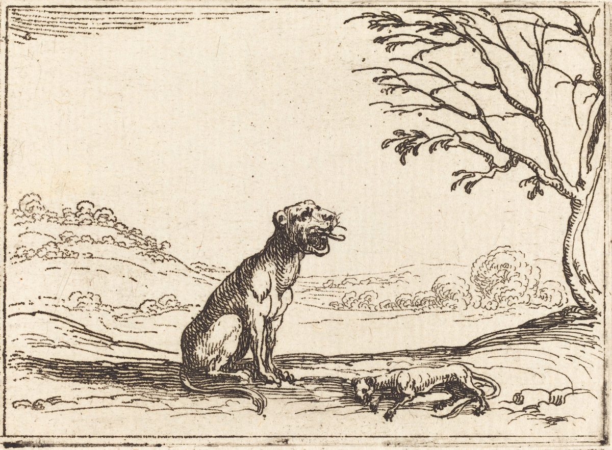 Lioness Mourning her Cub by Jacques Callot (French, 1592 - 1635), 16X12"(A3)Poster Print