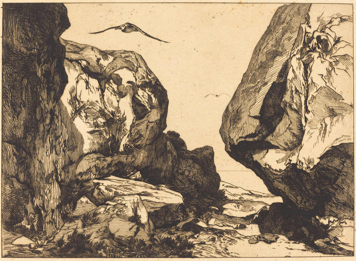 Gorge in the Rocks (Gorge dans les rochers) by Félix Bracquemond after Jules Laurens (French, 1833 - 1914), 16X12"(A3)Poster Print