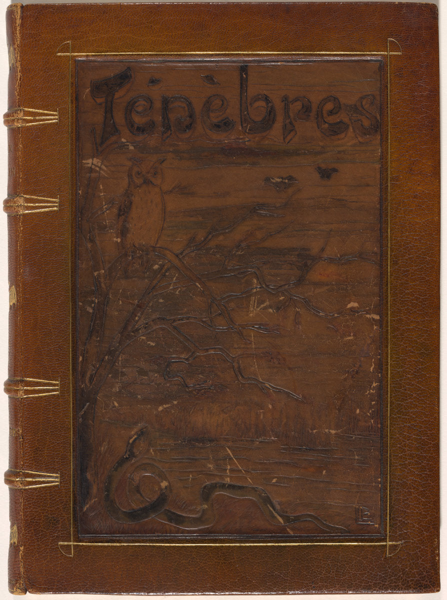 Ténèbres by Odilon Redon, Iwan Gilkin (author) (French, 1840 - 1916), 16X12"(A3)Poster Print