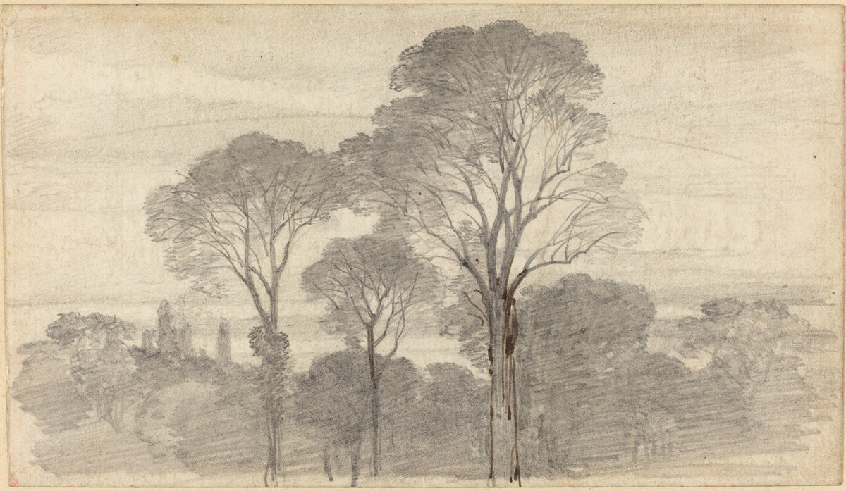 An Evening Landscape with Tall Trees by Myles Birket Foster (British, 1825 - 1899), 16X12"(A3)Poster Print